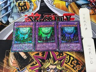 Worm Zero DT06 4 Duel Terminal, set of 3 Tera.