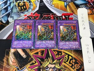 Psychic Mage Swordsman - Black Paladin DT05 2 Duel Terminals, set of 3 Tera.