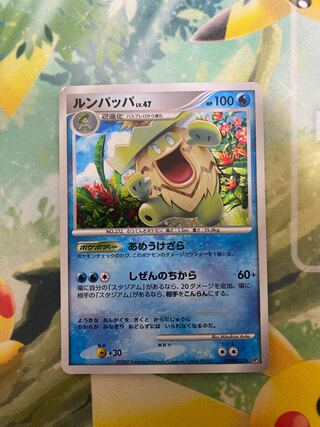 Pokémon Card Ludicolo Lv47 Ameetzara