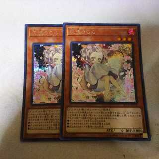 灰流うらら シク シークレット 2枚