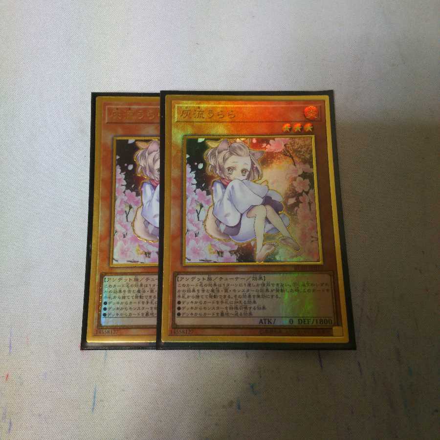 灰流うらら ゴールド 2枚