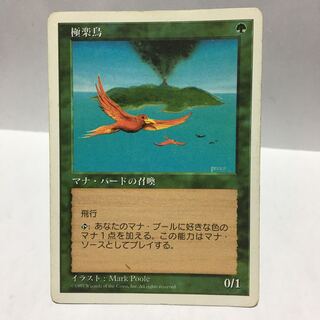 極楽鳥 5版 日本語 1枚の通販 もっさん（270472109） | magi