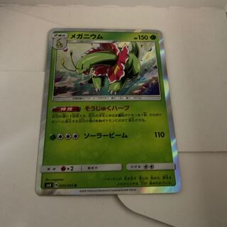 メガニウム　1枚