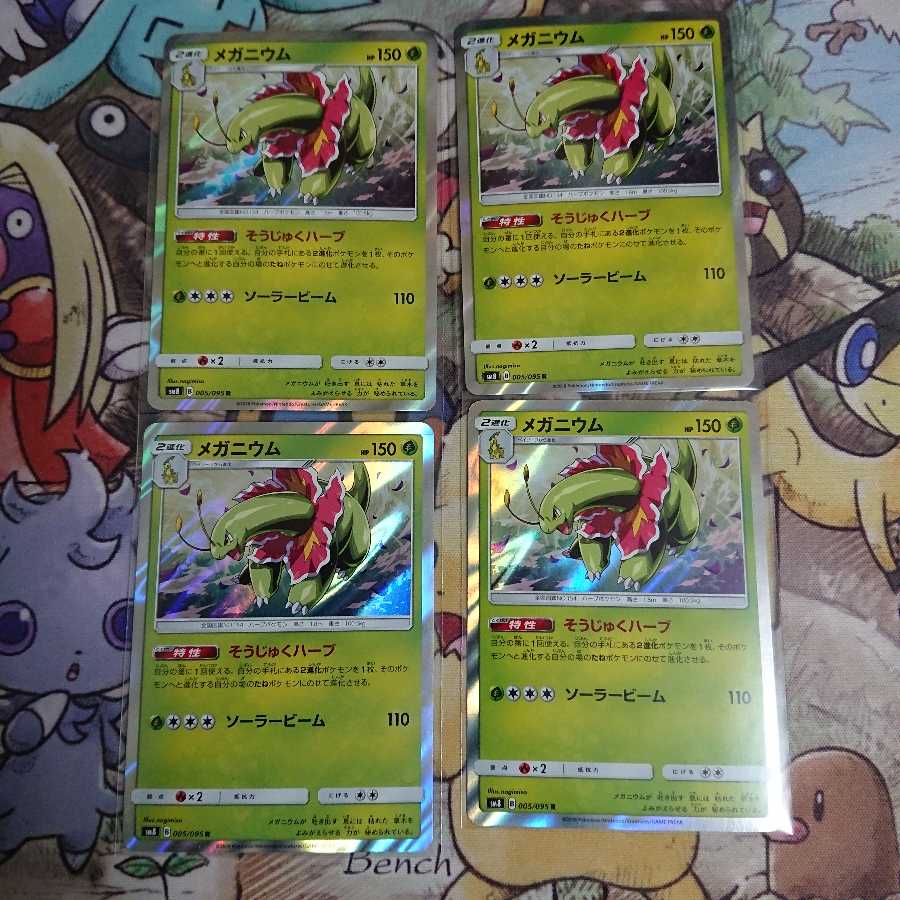 メガニウム 進化ライン4枚セット