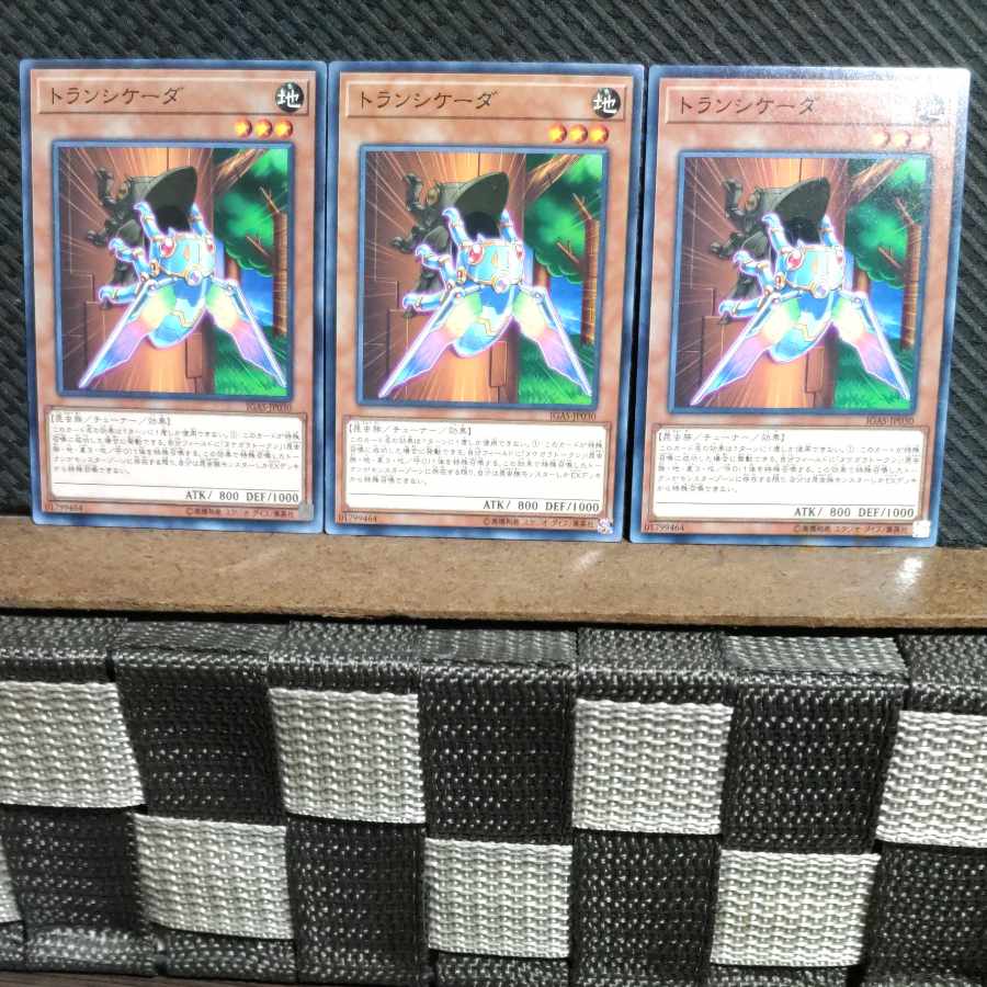 Popotan] Yu-Gi-Oh! #1213 Transcicada Normal 3 copies