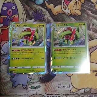 メガニウム そうじゅくハーブ 2枚