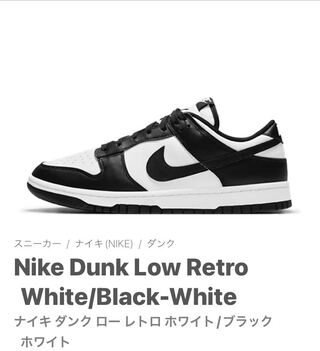 Nike Dunk Low Retro Ho Wight/Black Wight DD1391-100 28cm