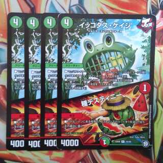 イッコダス・ケイジ/種デスティニー 四枚セット