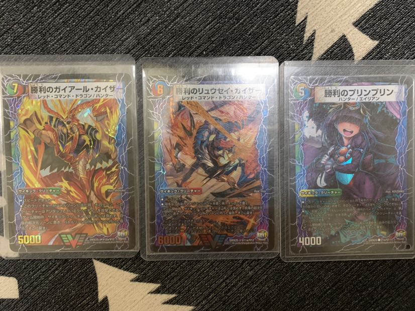 勝利のガイアールカイザー　リュウセイカイザー　プリン　セット