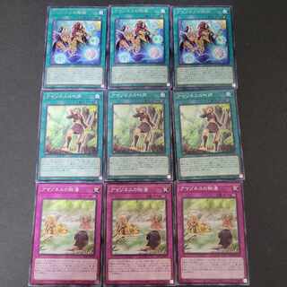 アマゾネスの秘術 ×3枚 アマゾネスの叫び声×3枚 アマゾネスの秘湯×3枚