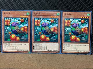 【ぽぽたん】遊戯王 6630 星向鳥 3枚 ノーマル