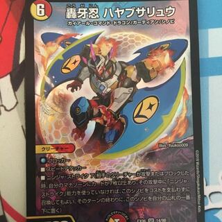 ハヤブサリュウ