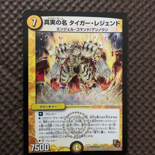 真実の名タイガーレジェンド