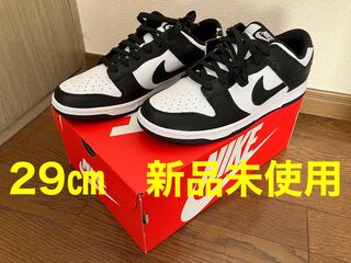 Nike Dunk Low Retro HoWight/Black 29cm