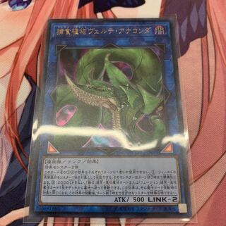 捕食植物ヴェルテアナコンダ