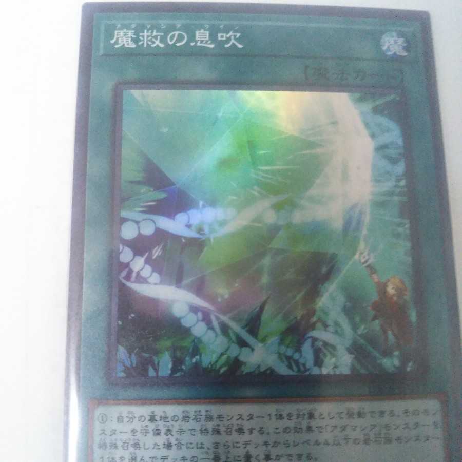 魔救カード　探索者　レオナイト　息吹