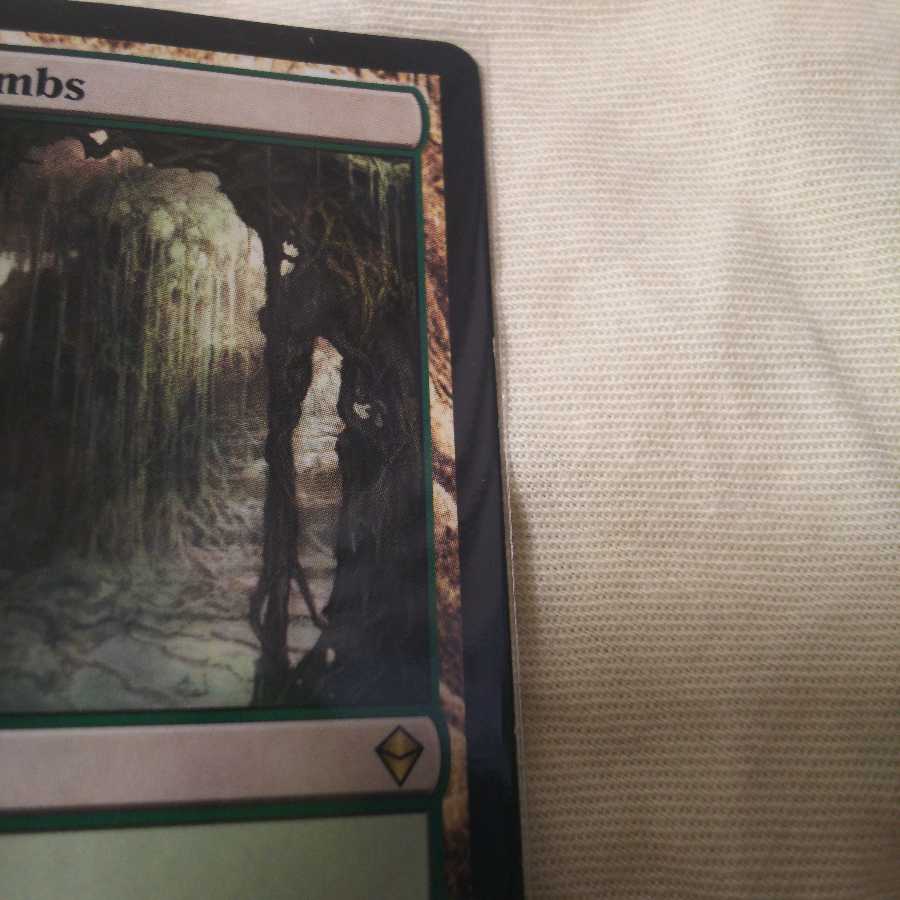 新緑の地下墓地