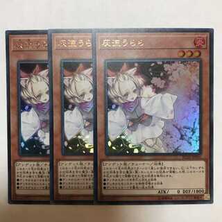 遊戯王　灰流うらら　ウルトラ　3枚