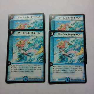 【特価】マーシャルクイーン