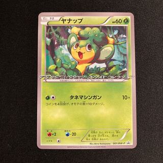 h27 Pansage Black Collection Ho Wight Collection Promo Pokémon Treasurer