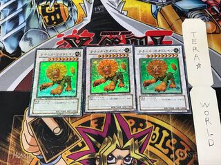 ナチュル・ガオドレイク DT04 3 デュエルターミナル 3枚セット てら