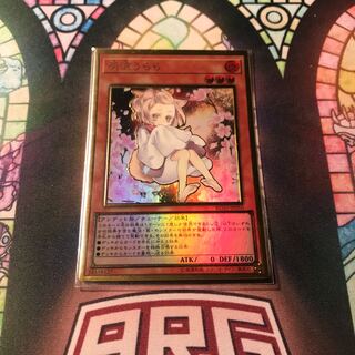 遊戯王 灰流うらら はるうらら プレミアムゴールド