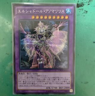 エルシャドール・アノマリリス