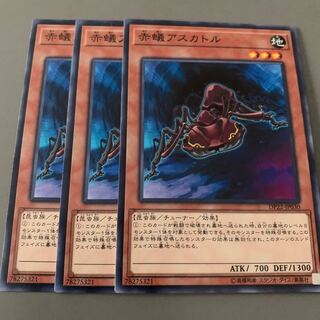 赤蟻アスカトル