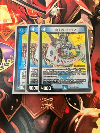 Kitanetsu Schaff VR 5/18