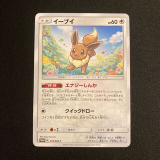 h63 Eevee Promo Pokemon Trekkie