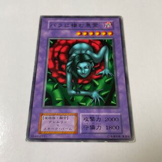 Rose Spectre of Dunn Initial