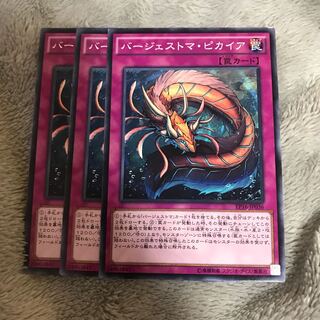 マドレース バージェストマ・ピカイア