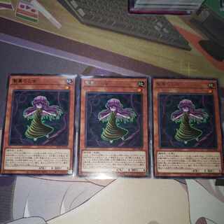 Sunvine Maiden Rare JP028