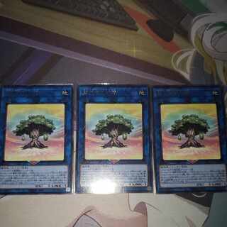 Fairy of the Holy Celestial Tree Rare JP031