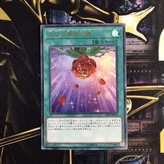 天啓の薔薇の鐘 ウルトラ