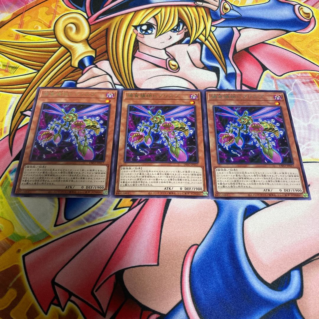 Prey Upon Plant Bib Squirrel Prey JP017