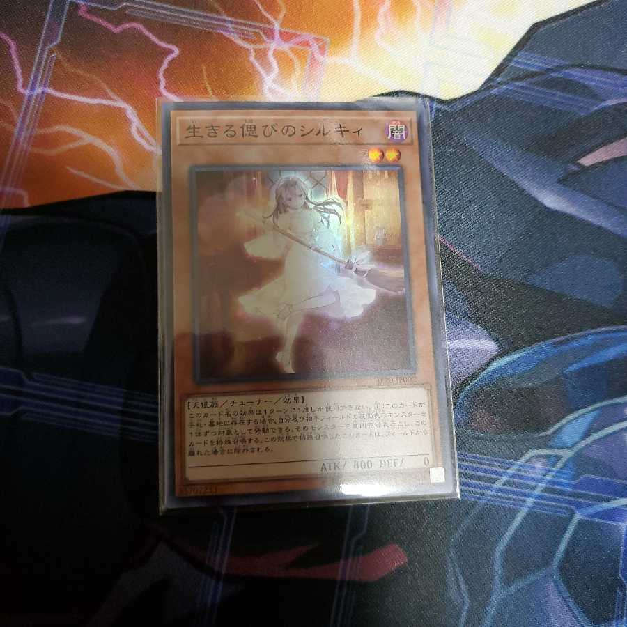 生きる偲びのシルキィ