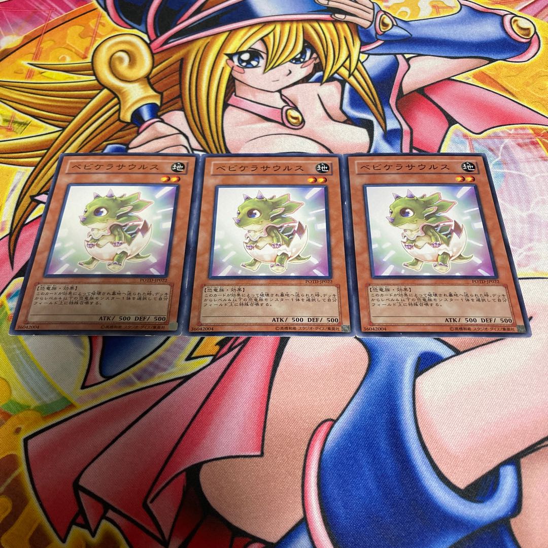 Babycerasaurus with scratches, normal JP022