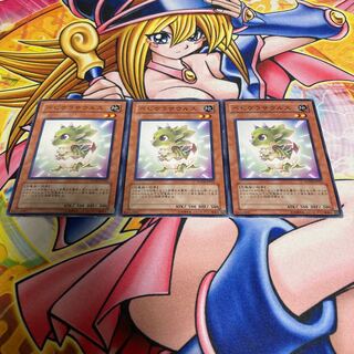 Babycerasaurus with scratches, normal JP022