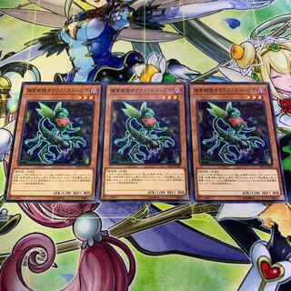 捕食植物オフリススコーピオ 3枚セット