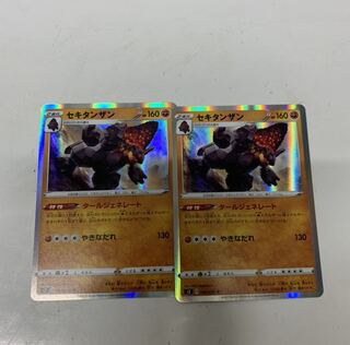 セキタンザン2枚セット