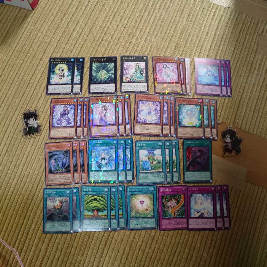 六花精+植物汎用サポート+植物族エクシーズ 1枚