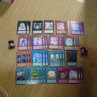 六花精+植物汎用サポート+植物族エクシーズ 1枚