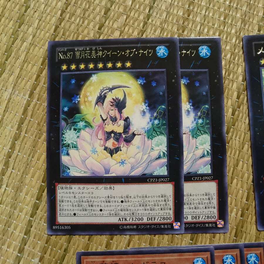 六花精+植物汎用サポート+植物族エクシーズ 1枚