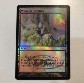 希少【ジャッジ褒賞】樹木茂る山麓/Wooded Foothills【MTG】