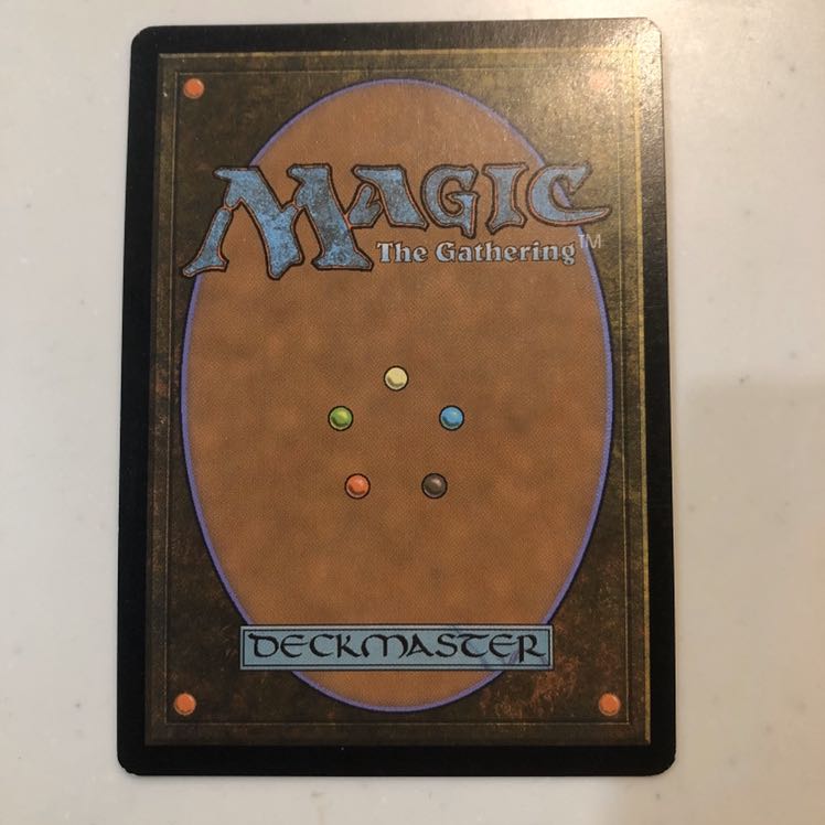 希少【ジャッジ褒賞】樹木茂る山麓/Wooded Foothills【MTG】