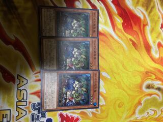 遊戯王 ティオの蟲惑魔 スーパー 3枚