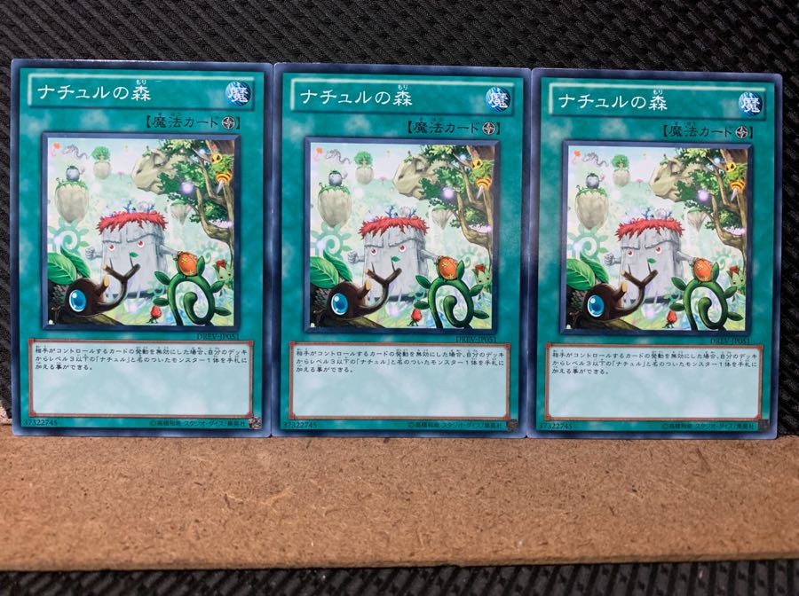 【ぽぽたん】遊戯王 5981 ナチュルの森 3枚 ノーマル