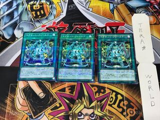 マグネット・フィールド SDMY 3 ノーマルパラレル 3枚セット てら