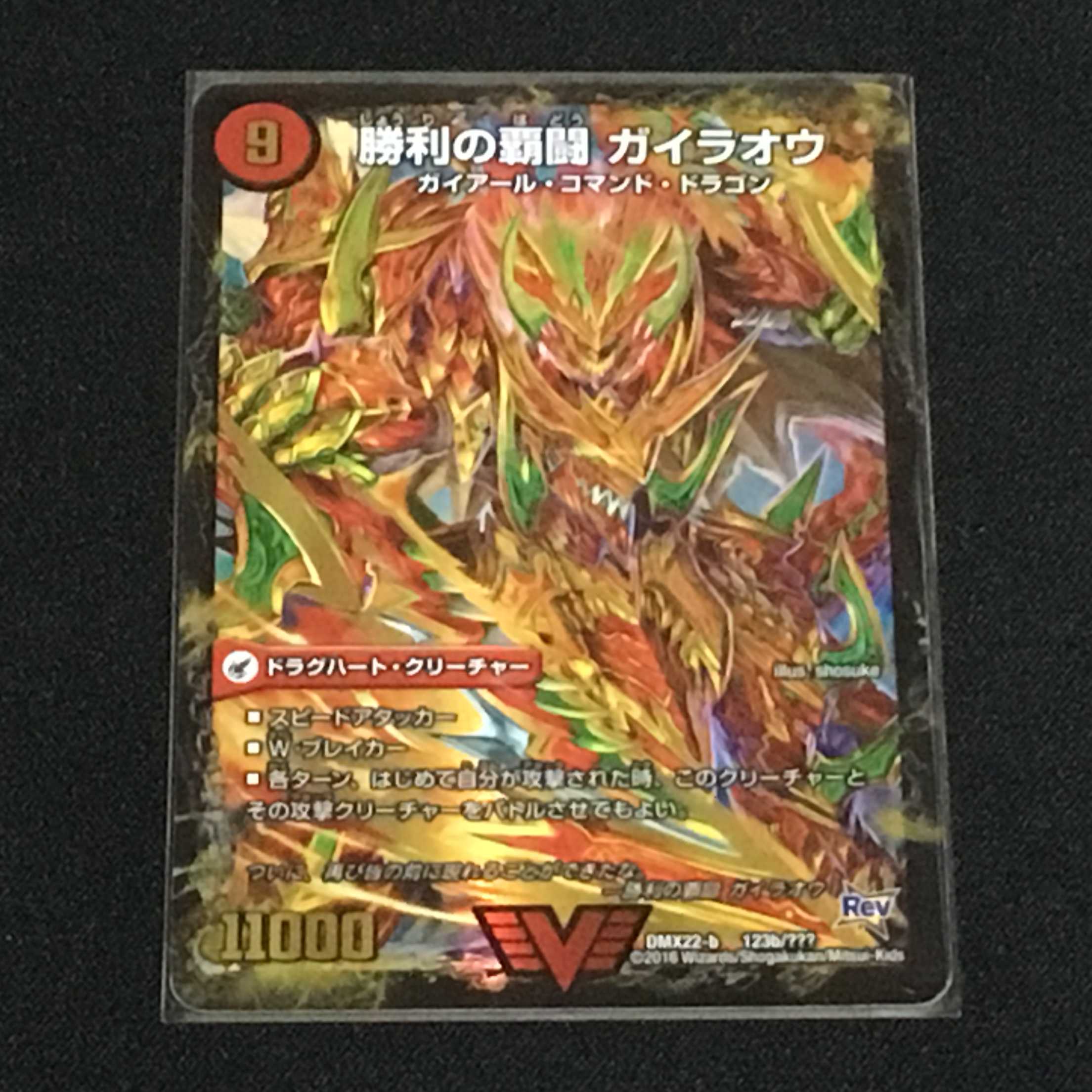 勝利の覇闘 ガイラオウ 1枚